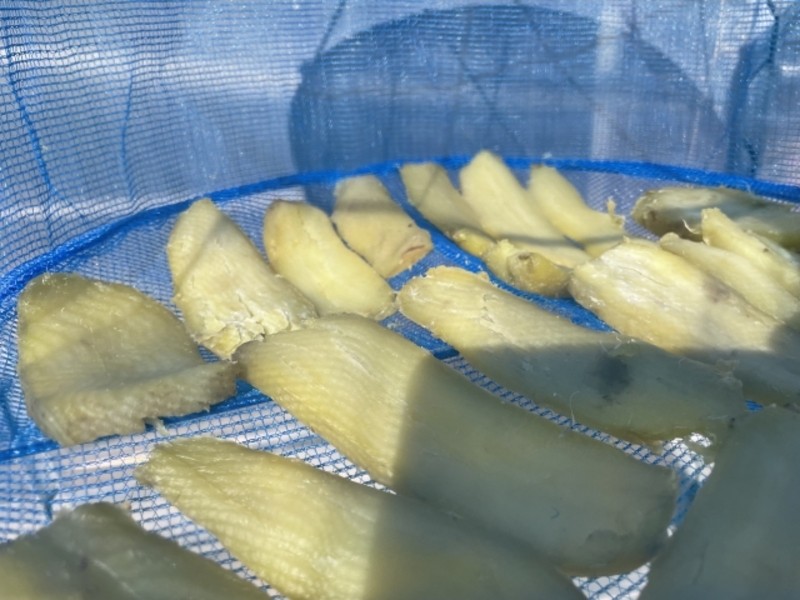 果乾、牛肉乾、奶粉，都靠同一種技術：乾燥學問比你想得多！